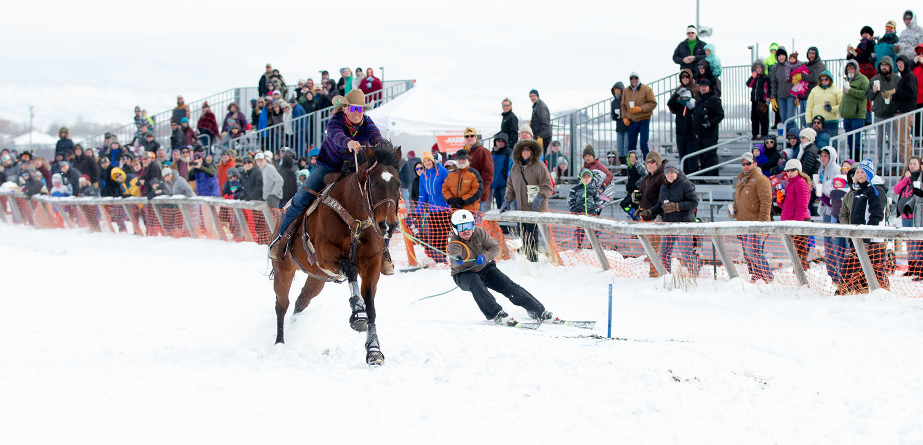 Last Chance Skijoring Race for the Gold